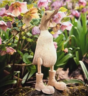 Duck with Boots